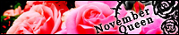 November Queen�^ꠓ~���l